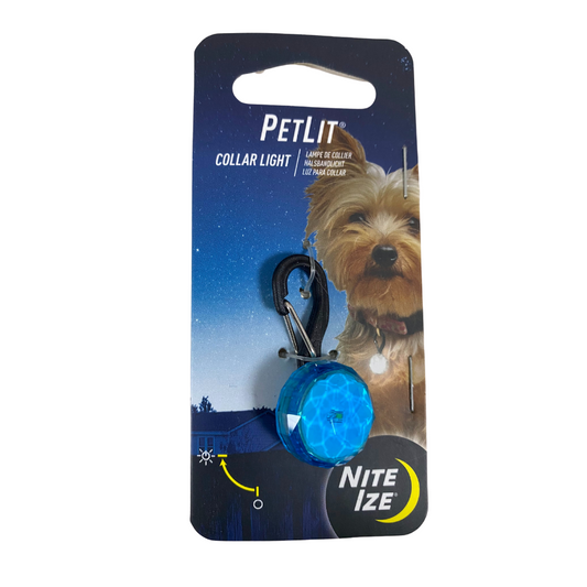 PetLit® Collar Light - Turquoise Jewel